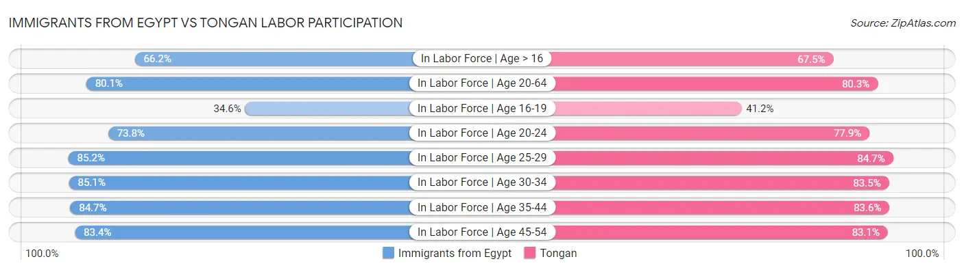 Immigrants from Egypt vs Tongan Labor Participation