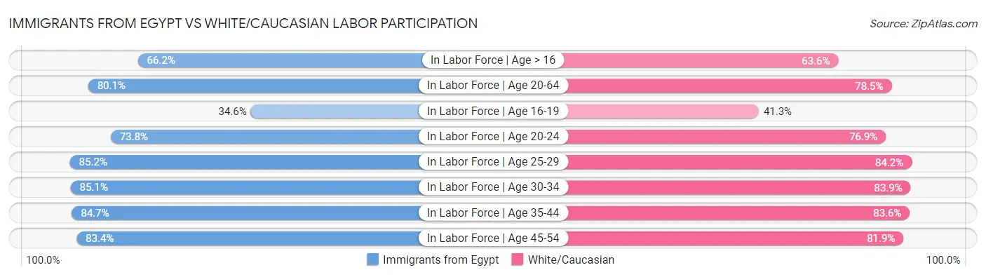 Immigrants from Egypt vs White/Caucasian Labor Participation