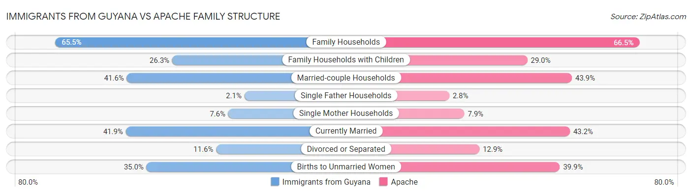 Immigrants from Guyana vs Apache Family Structure