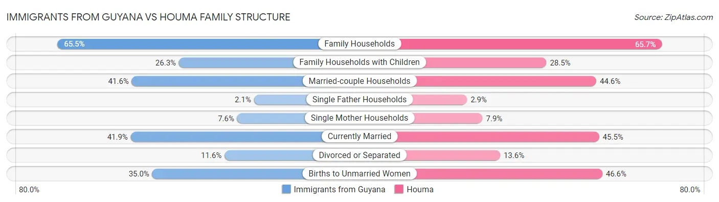 Immigrants from Guyana vs Houma Family Structure