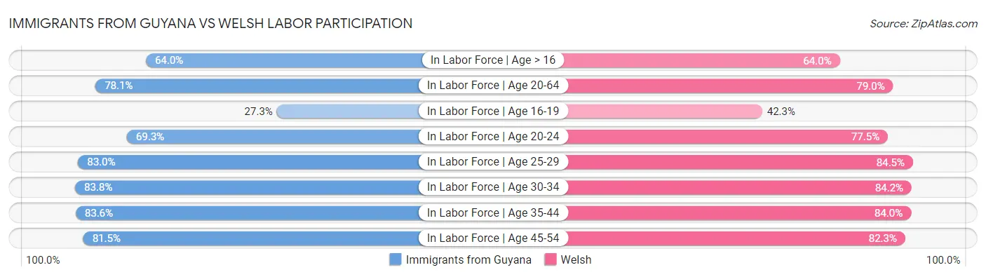 Immigrants from Guyana vs Welsh Labor Participation