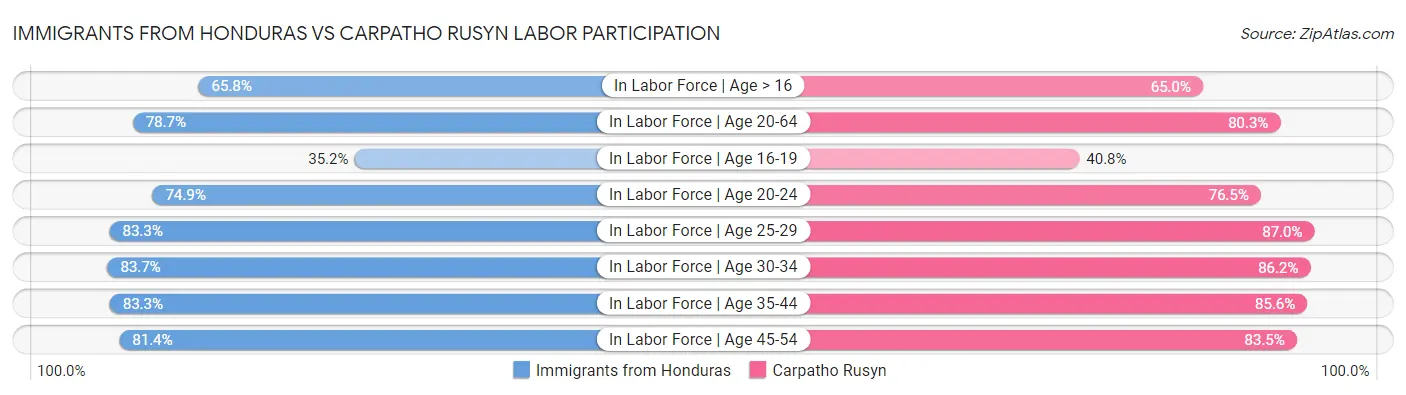 Immigrants from Honduras vs Carpatho Rusyn Labor Participation