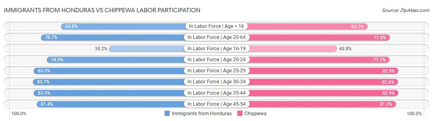 Immigrants from Honduras vs Chippewa Labor Participation
