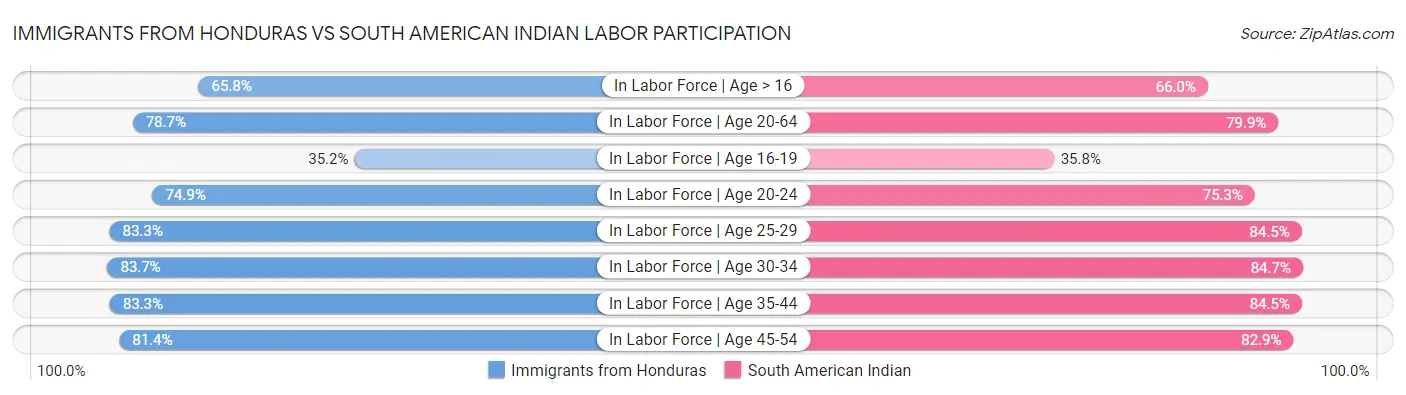 Immigrants from Honduras vs South American Indian Labor Participation