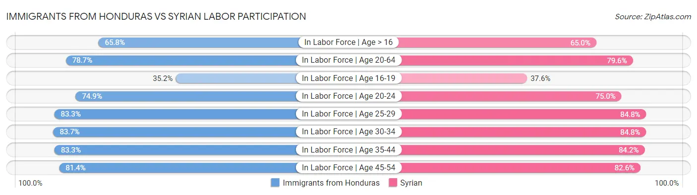 Immigrants from Honduras vs Syrian Labor Participation