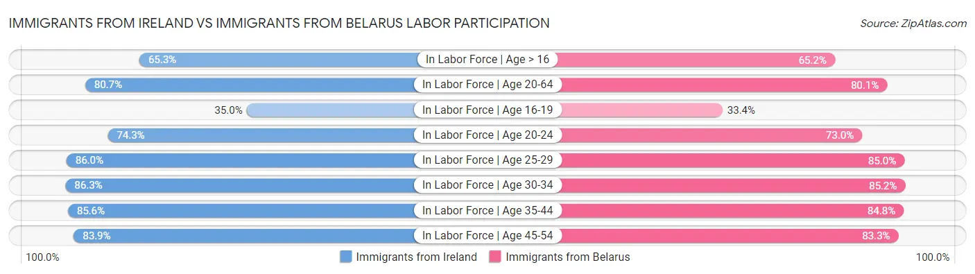 Immigrants from Ireland vs Immigrants from Belarus Labor Participation
