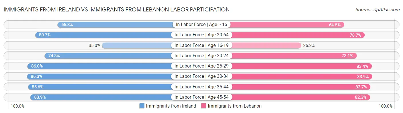 Immigrants from Ireland vs Immigrants from Lebanon Labor Participation