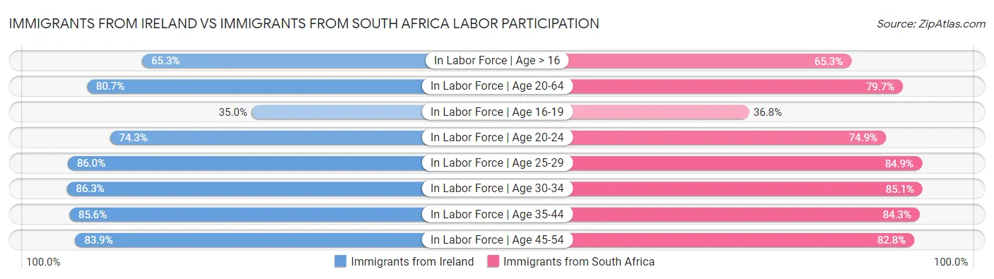 Immigrants from Ireland vs Immigrants from South Africa Labor Participation