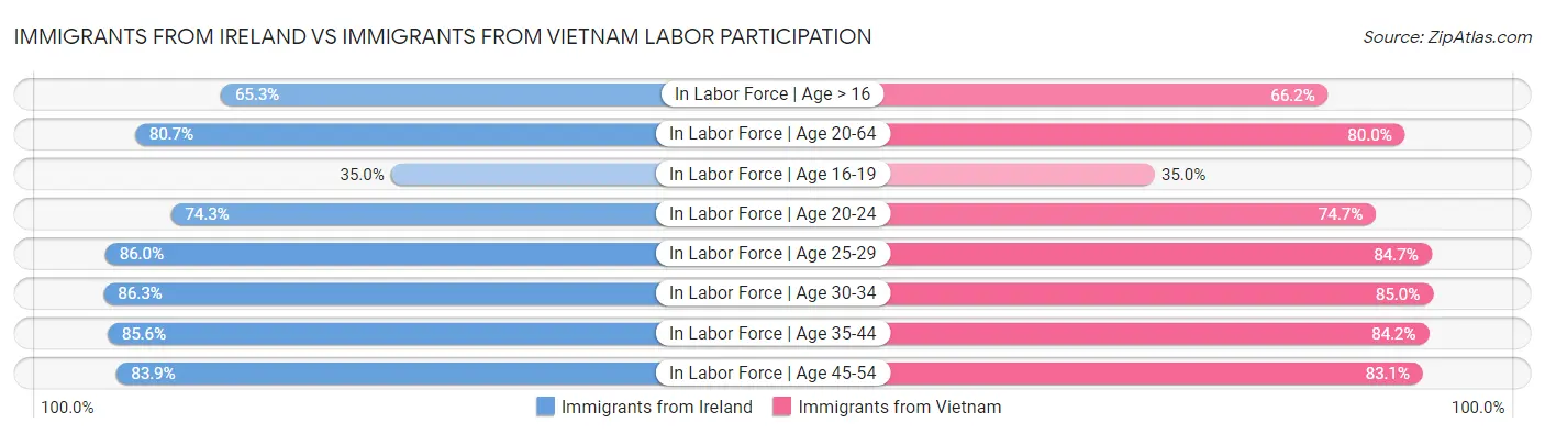 Immigrants from Ireland vs Immigrants from Vietnam Labor Participation