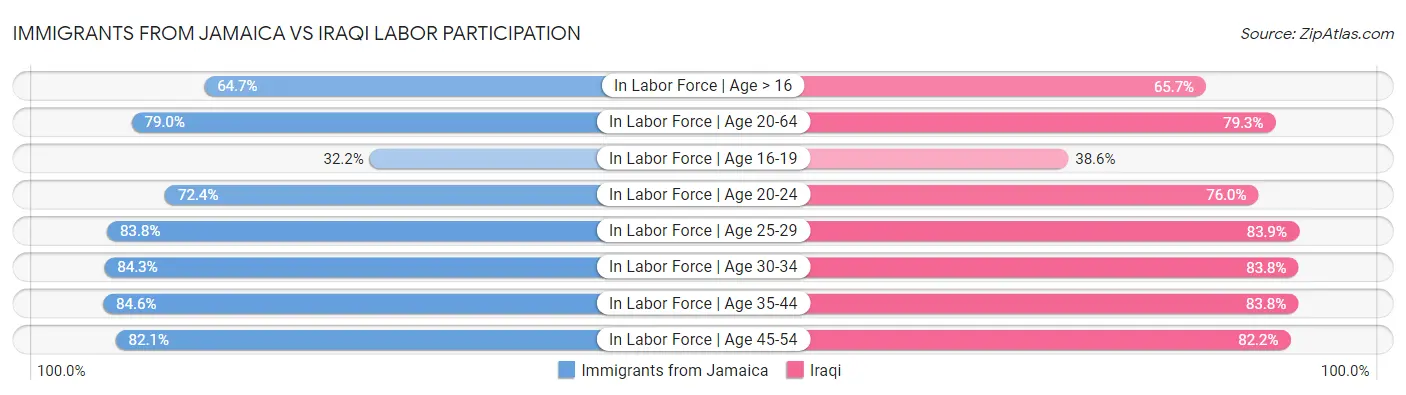 Immigrants from Jamaica vs Iraqi Labor Participation