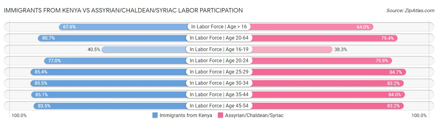 Immigrants from Kenya vs Assyrian/Chaldean/Syriac Labor Participation