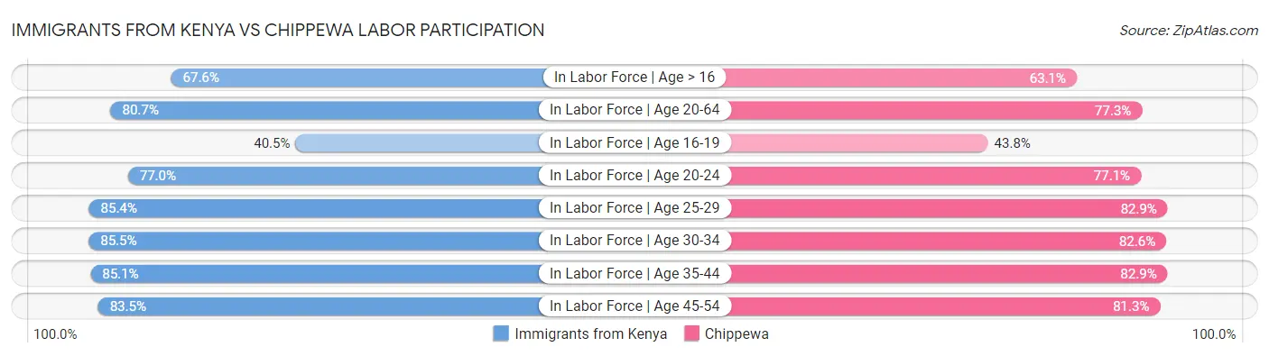 Immigrants from Kenya vs Chippewa Labor Participation