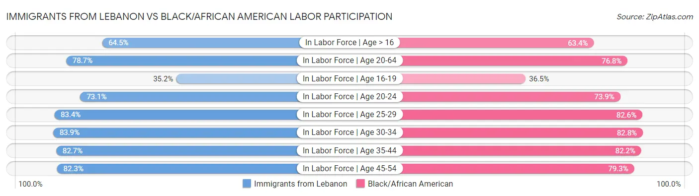 Immigrants from Lebanon vs Black/African American Labor Participation