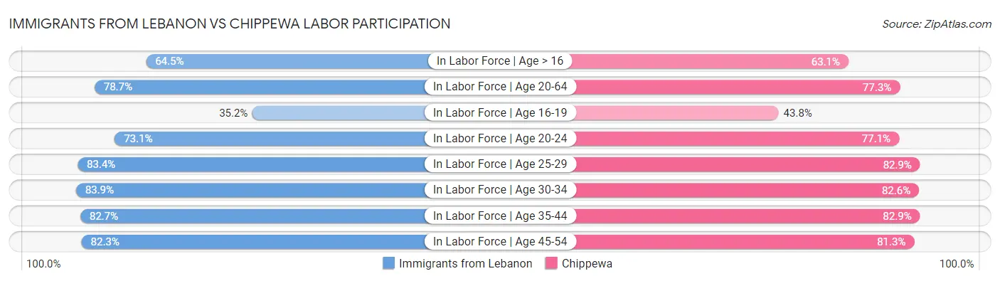 Immigrants from Lebanon vs Chippewa Labor Participation