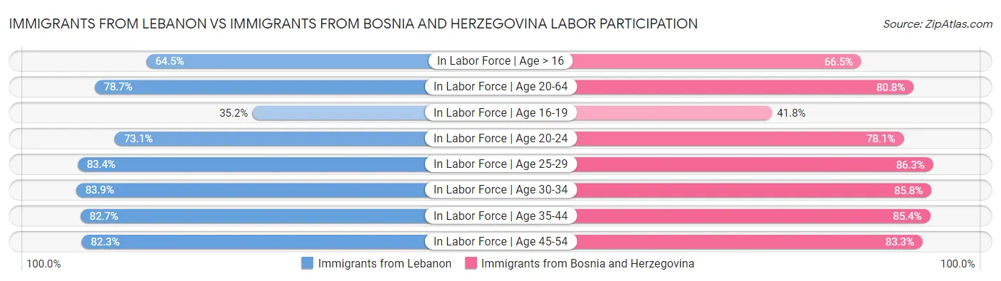 Immigrants from Lebanon vs Immigrants from Bosnia and Herzegovina Labor Participation