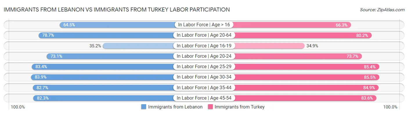 Immigrants from Lebanon vs Immigrants from Turkey Labor Participation
