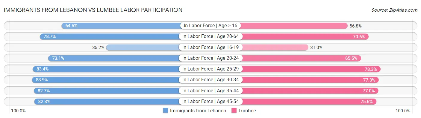 Immigrants from Lebanon vs Lumbee Labor Participation