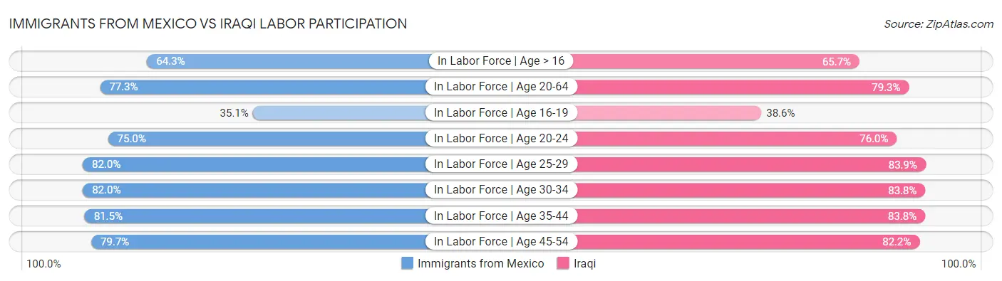 Immigrants from Mexico vs Iraqi Labor Participation