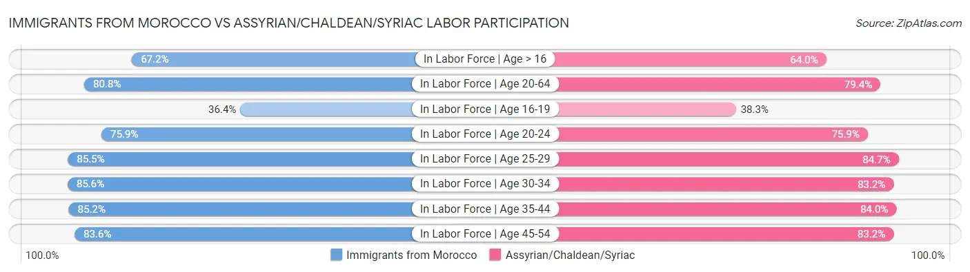 Immigrants from Morocco vs Assyrian/Chaldean/Syriac Labor Participation