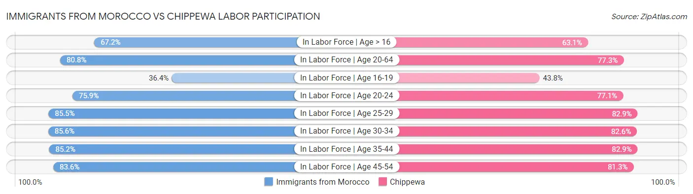 Immigrants from Morocco vs Chippewa Labor Participation