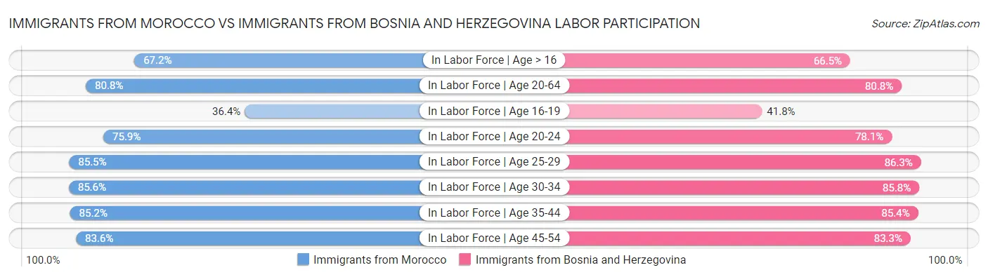 Immigrants from Morocco vs Immigrants from Bosnia and Herzegovina Labor Participation