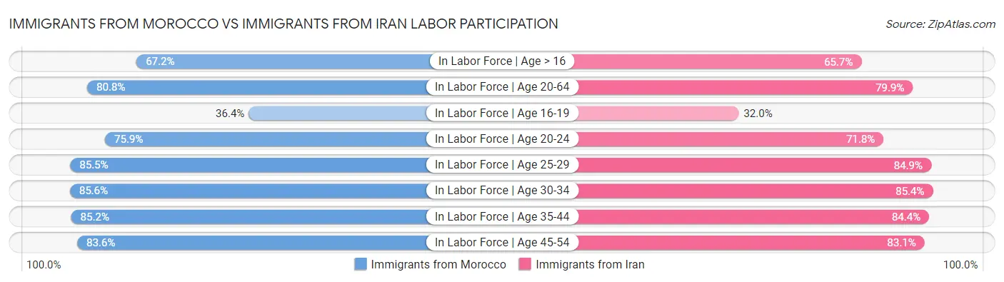 Immigrants from Morocco vs Immigrants from Iran Labor Participation