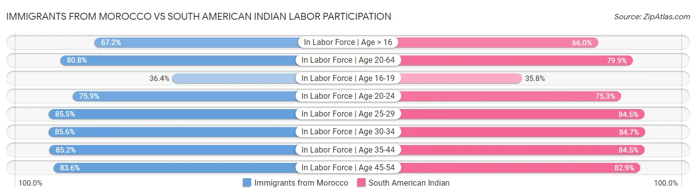 Immigrants from Morocco vs South American Indian Labor Participation