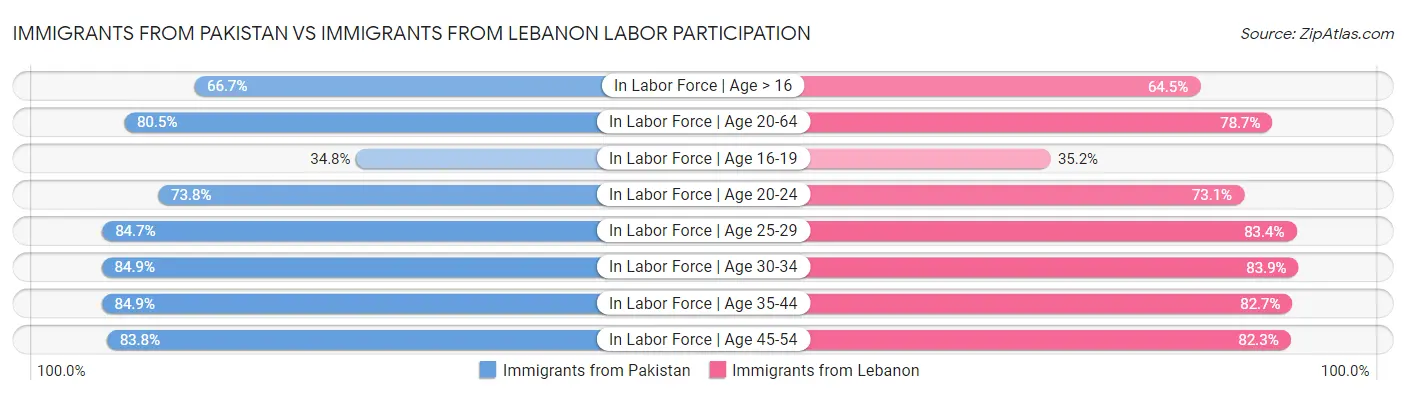 Immigrants from Pakistan vs Immigrants from Lebanon Labor Participation