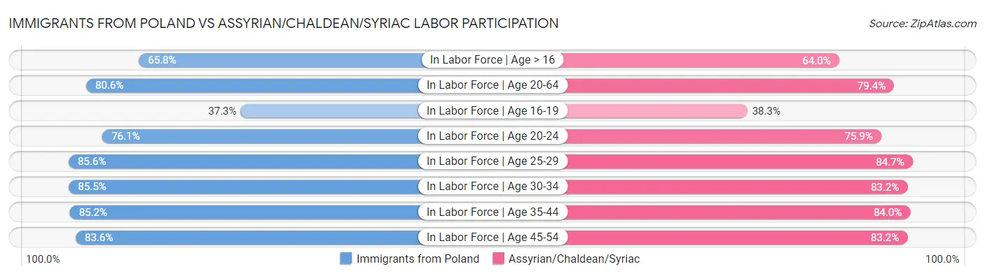 Immigrants from Poland vs Assyrian/Chaldean/Syriac Labor Participation
