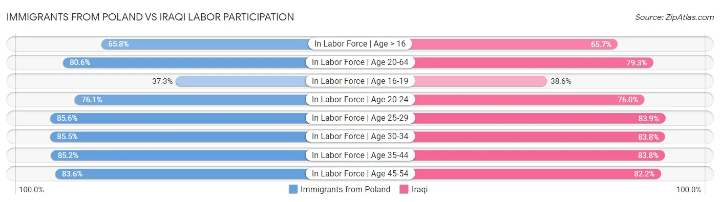 Immigrants from Poland vs Iraqi Labor Participation