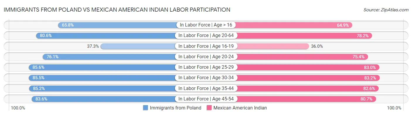 Immigrants from Poland vs Mexican American Indian Labor Participation