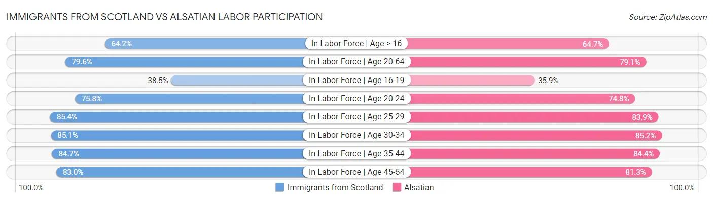 Immigrants from Scotland vs Alsatian Labor Participation