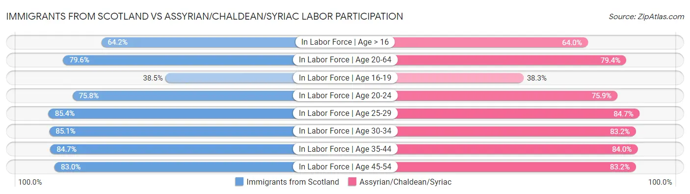 Immigrants from Scotland vs Assyrian/Chaldean/Syriac Labor Participation