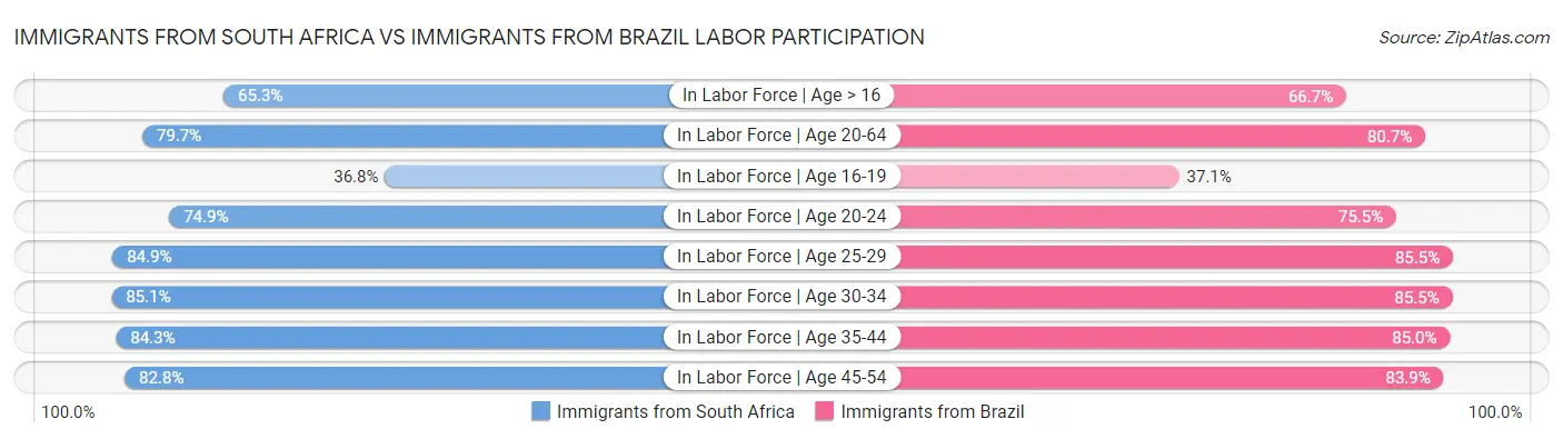Immigrants from South Africa vs Immigrants from Brazil Labor Participation