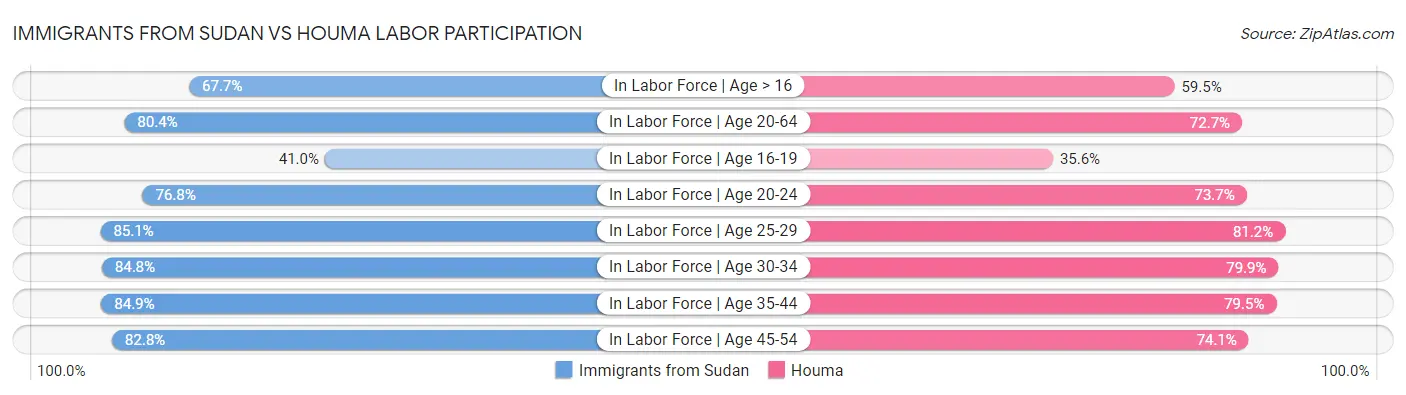 Immigrants from Sudan vs Houma Labor Participation
