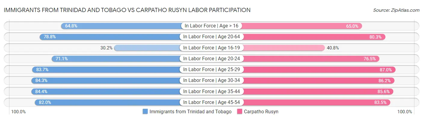 Immigrants from Trinidad and Tobago vs Carpatho Rusyn Labor Participation