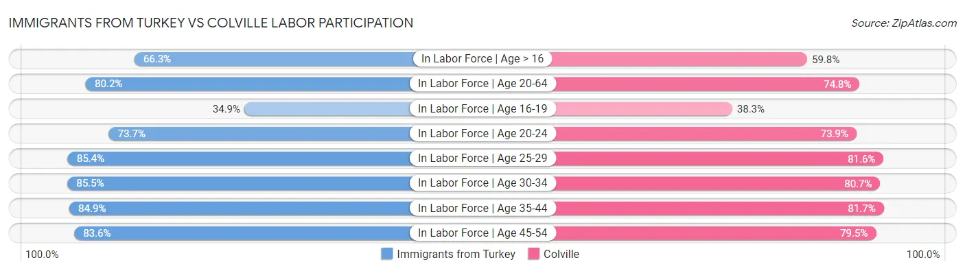 Immigrants from Turkey vs Colville Labor Participation