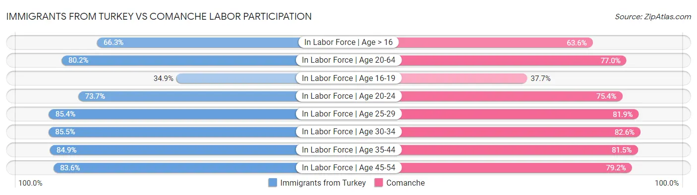 Immigrants from Turkey vs Comanche Labor Participation