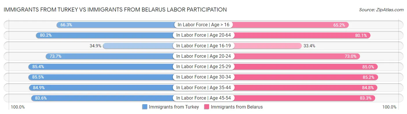Immigrants from Turkey vs Immigrants from Belarus Labor Participation