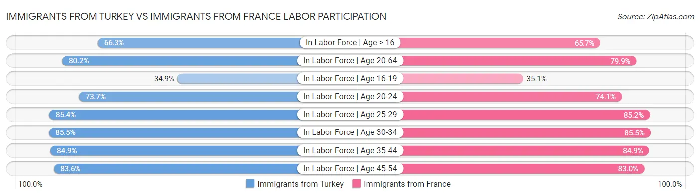 Immigrants from Turkey vs Immigrants from France Labor Participation