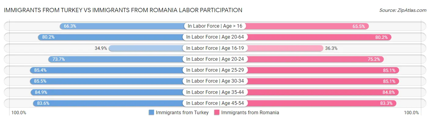 Immigrants from Turkey vs Immigrants from Romania Labor Participation