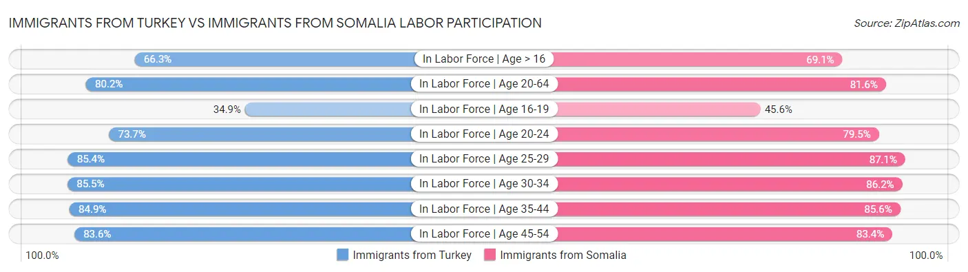 Immigrants from Turkey vs Immigrants from Somalia Labor Participation