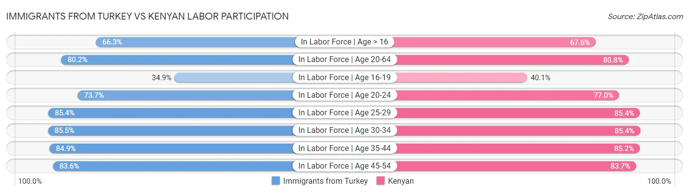 Immigrants from Turkey vs Kenyan Labor Participation