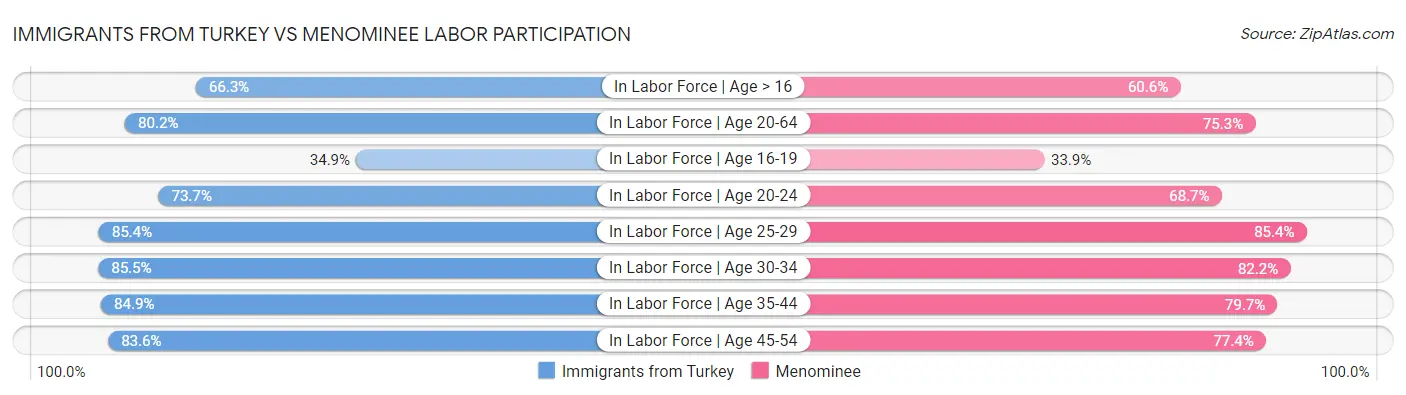 Immigrants from Turkey vs Menominee Labor Participation