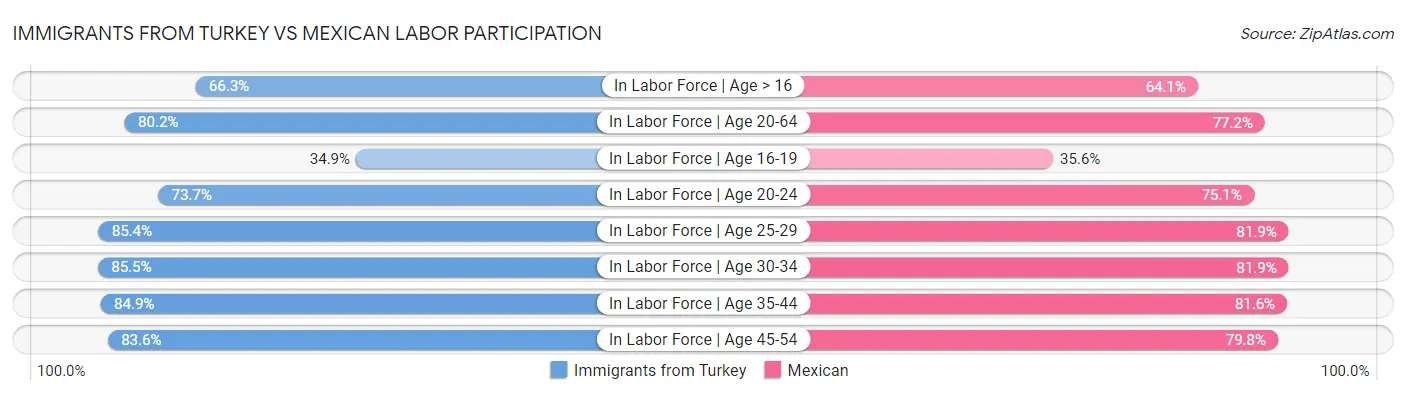 Immigrants from Turkey vs Mexican Labor Participation