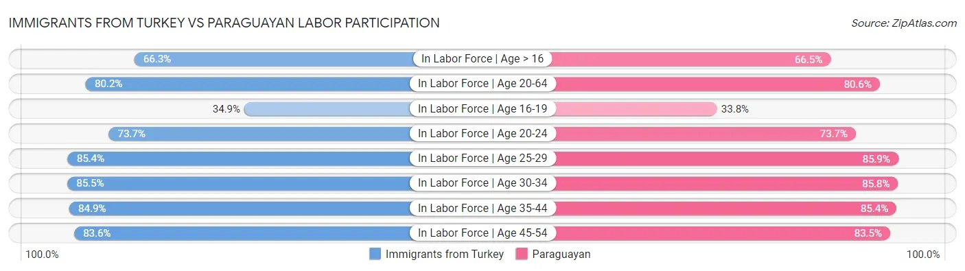 Immigrants from Turkey vs Paraguayan Labor Participation