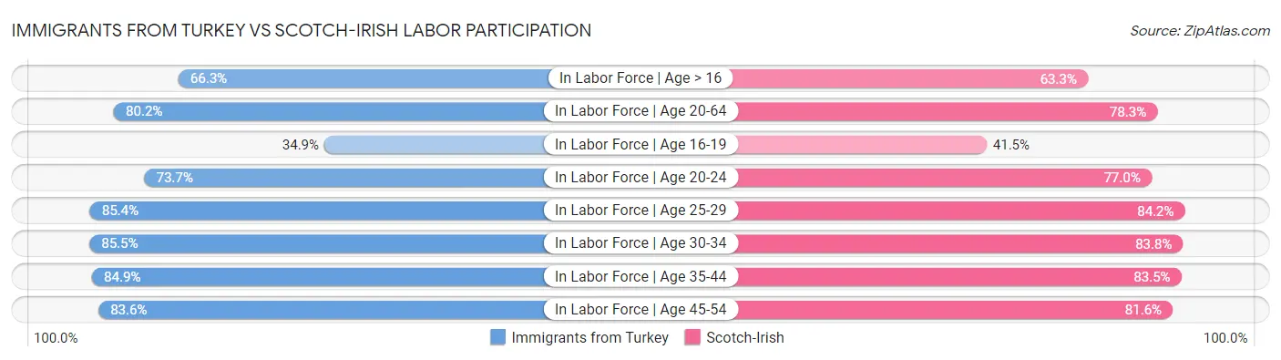 Immigrants from Turkey vs Scotch-Irish Labor Participation