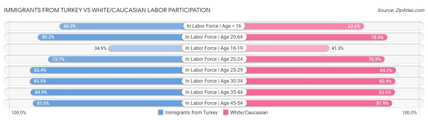 Immigrants from Turkey vs White/Caucasian Labor Participation