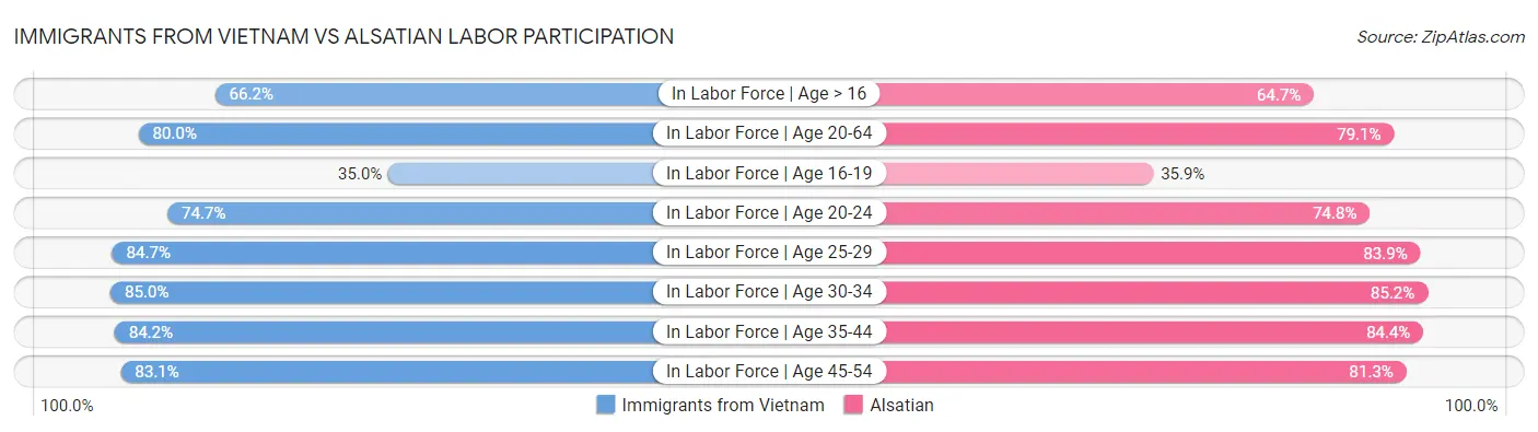 Immigrants from Vietnam vs Alsatian Labor Participation