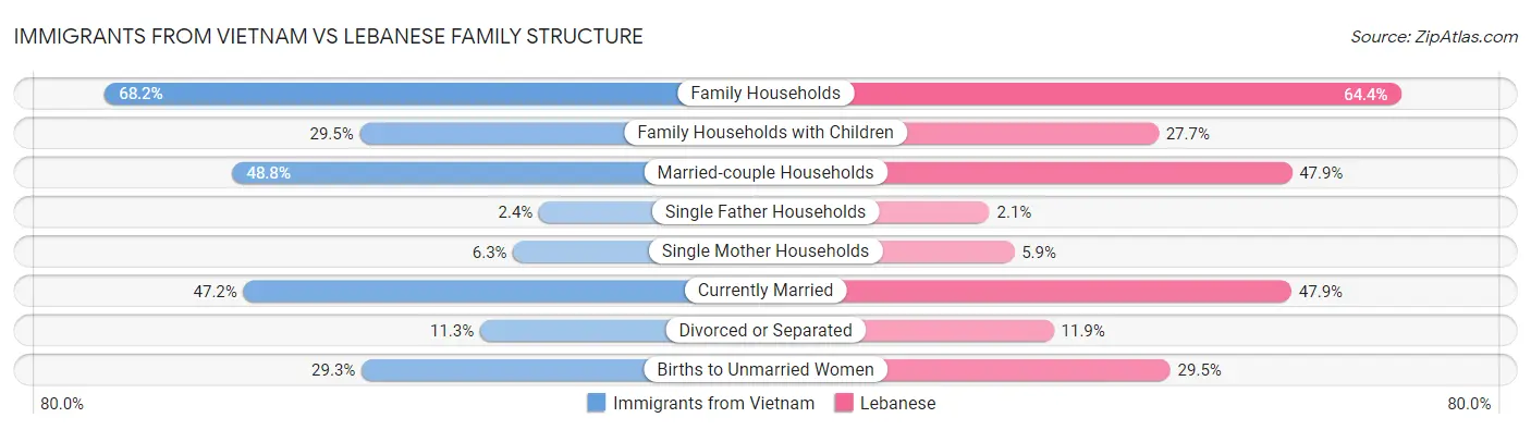 Immigrants from Vietnam vs Lebanese Family Structure